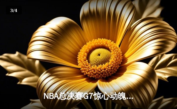 NBA总决赛G7惊心动魄 丹佛掘金加时险胜迈阿密热火卫冕成功 - 3
