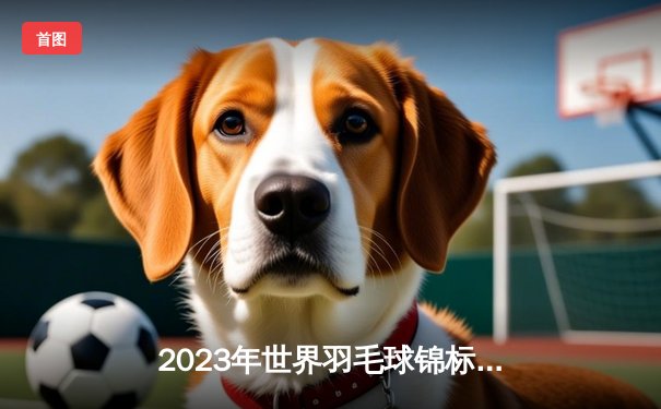 2023年世界羽毛球锦标赛：安赛龙三连冠创历史，石宇奇惜败摘银